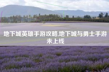地下城英雄手游攻略,地下城与勇士手游未上线