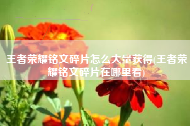 王者荣耀铭文碎片怎么大量获得(王者荣耀铭文碎片在哪里看)