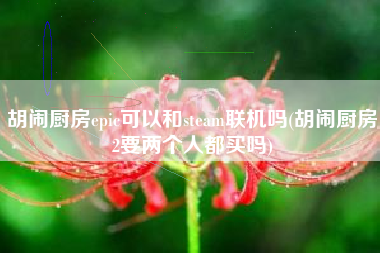 胡闹厨房epic可以和steam联机吗(胡闹厨房2要两个人都买吗)