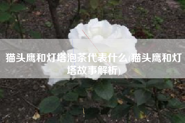猫头鹰和灯塔泡茶代表什么(猫头鹰和灯塔故事解析)