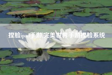 捏脸ipad手游,完美世界手游捏脸系统