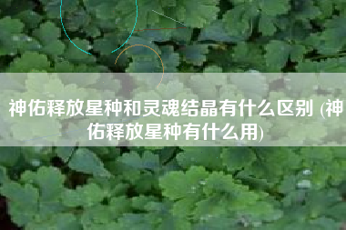 神佑释放星种和灵魂结晶有什么区别 (神佑释放星种有什么用)