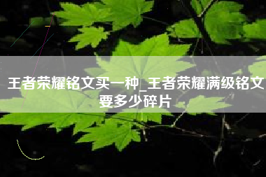 王者荣耀铭文买一种_王者荣耀满级铭文要多少碎片