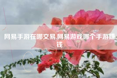 网易手游在哪交易,网易游戏哪个手游赚钱
