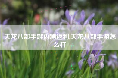 天龙八部手游内测返利,天龙八部手游怎么样