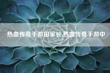 热血传奇手游田军长,热血传奇手游中