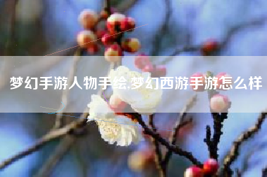 梦幻手游人物手绘,梦幻西游手游怎么样