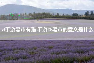 cf手游黑市有猎,手游CF黑市的意义是什么