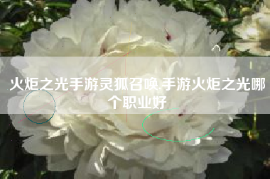 火炬之光手游灵狐召唤,手游火炬之光哪个职业好