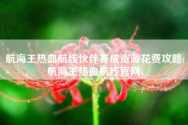 航海王热血航线伙伴养成资源花费攻略(航海王热血航线官网)