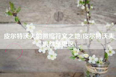 皮尔特沃夫的微缩符文之地(皮尔特沃夫果然是鬼区)
