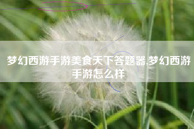 梦幻西游手游美食天下答题器,梦幻西游手游怎么样