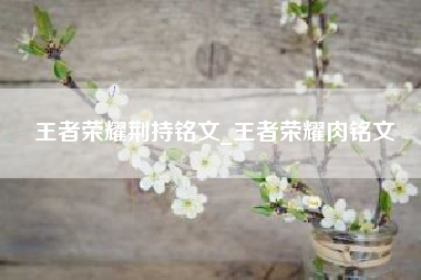 王者荣耀荆持铭文_王者荣耀肉铭文