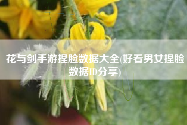 花与剑手游捏脸数据大全(好看男女捏脸数据ID分享)