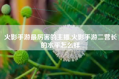 火影手游最厉害的主播,火影手游二营长的水平怎么样