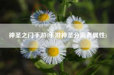 神圣之门手游(手游神圣分离者属性)