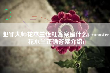 犯罪大师花木兰逐虹答案是什么(crimaster花木兰正确答案介绍)