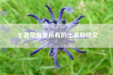 王者荣耀里所有的出装和铭文