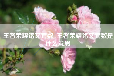 王者荣耀铭文套数_王者荣耀铭文套数是什么意思