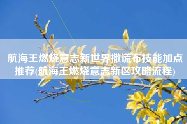 航海王燃烧意志新世界撒谎布技能加点推荐(航海王燃烧意志新区攻略流程)