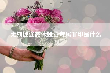 无期迷途露薇娅蕾专属罪印是什么