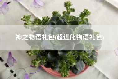 神之物语礼包(超进化物语礼包)