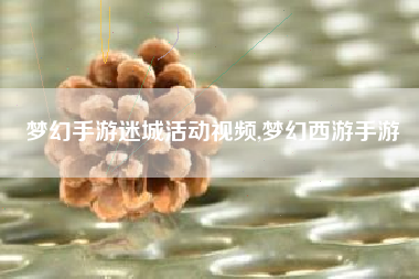 梦幻手游迷城活动视频,梦幻西游手游