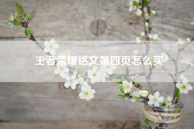 王者荣耀铭文第四页怎么买