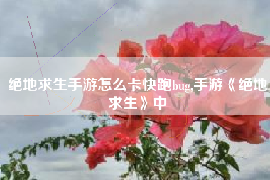 绝地求生手游怎么卡快跑bug,手游《绝地求生》中