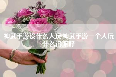 神武手游没什么人玩,神武手游一个人玩什么门派好