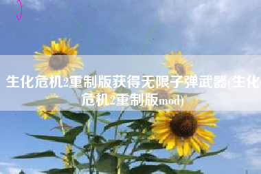 生化危机2重制版获得无限子弹武器(生化危机2重制版mod)