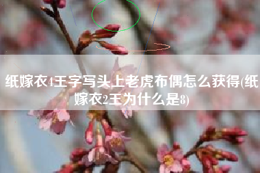 纸嫁衣4王字写头上老虎布偶怎么获得(纸嫁衣2王为什么是8)