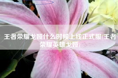 王者荣耀戈娅什么时候上线正式服(王者荣耀英雄戈娅)