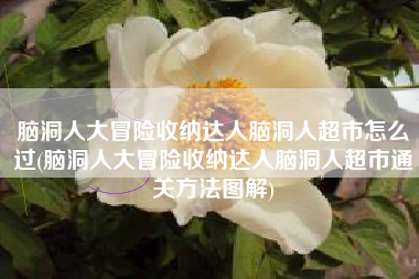 脑洞人大冒险收纳达人脑洞人超市怎么过(脑洞人大冒险收纳达人脑洞人超市通关方法图解)