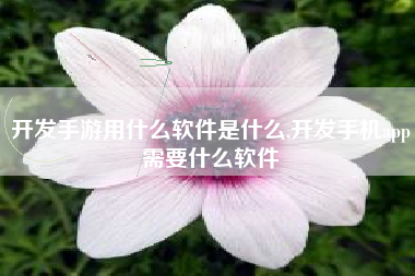 开发手游用什么软件是什么,开发手机app需要什么软件