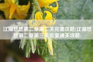 江湖悠悠第二章第二关完美攻略(江湖悠悠第二章第三关完美通关攻略)