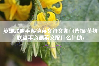 英雄联盟手游德莱文符文如何选择(英雄联盟手游德莱文配什么辅助)