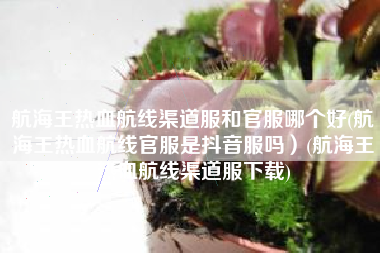 航海王热血航线渠道服和官服哪个好(航海王热血航线官服是抖音服吗）(航海王热血航线渠道服下载)
