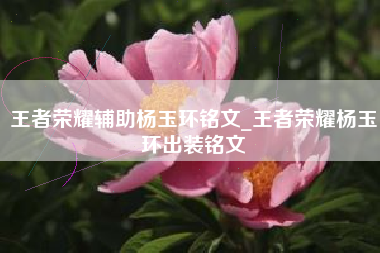 王者荣耀辅助杨玉环铭文_王者荣耀杨玉环出装铭文