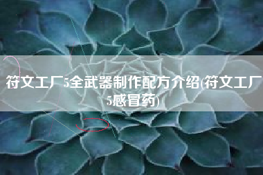符文工厂5全武器制作配方介绍(符文工厂5感冒药)