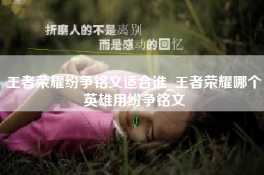 王者荣耀纷争铭文适合谁_王者荣耀哪个英雄用纷争铭文