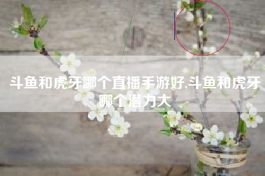 斗鱼和虎牙哪个直播手游好,斗鱼和虎牙哪个潜力大