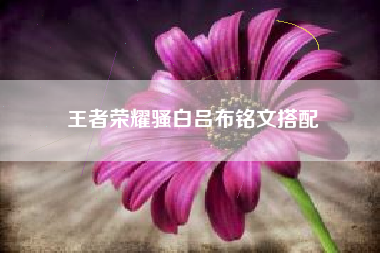 王者荣耀骚白吕布铭文搭配