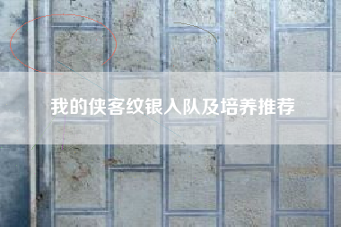我的侠客纹银入队及培养推荐