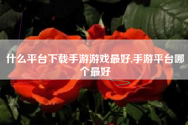 什么平台下载手游游戏最好,手游平台哪个最好