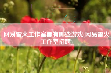 网易雷火工作室都有哪些游戏(网易雷火工作室招聘)