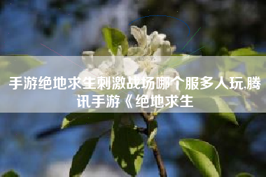 手游绝地求生刺激战场哪个服多人玩,腾讯手游《绝地求生