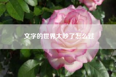 文字的世界太吵了怎么过