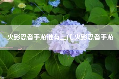 火影忍者手游谁有三代,火影忍者手游