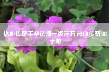 热血传奇手游法师一级符石,热血传奇185手游